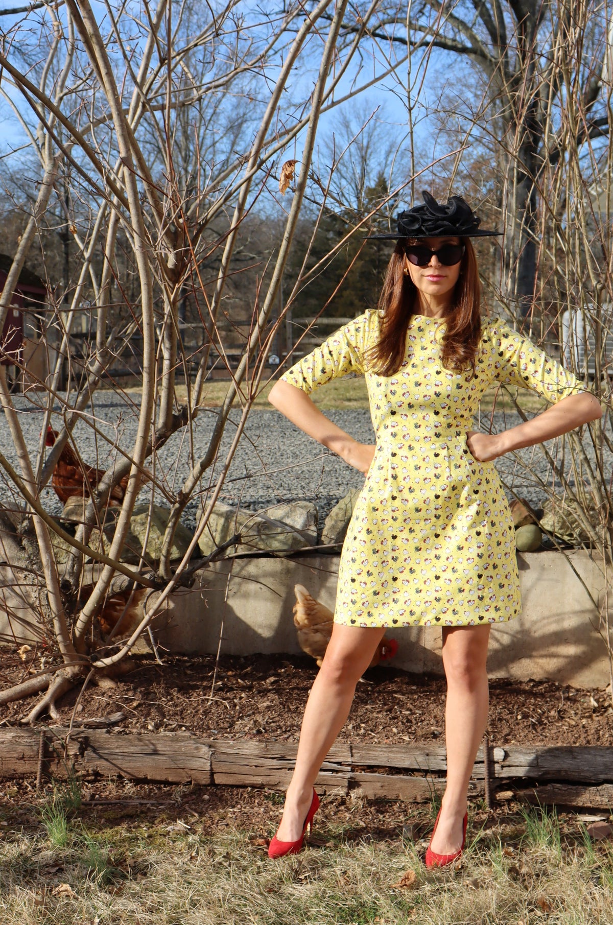 Model with hands on hips, wearing a black hat and wearing Editorial Chicken Dress,  a cute chicken print classic shift dress.