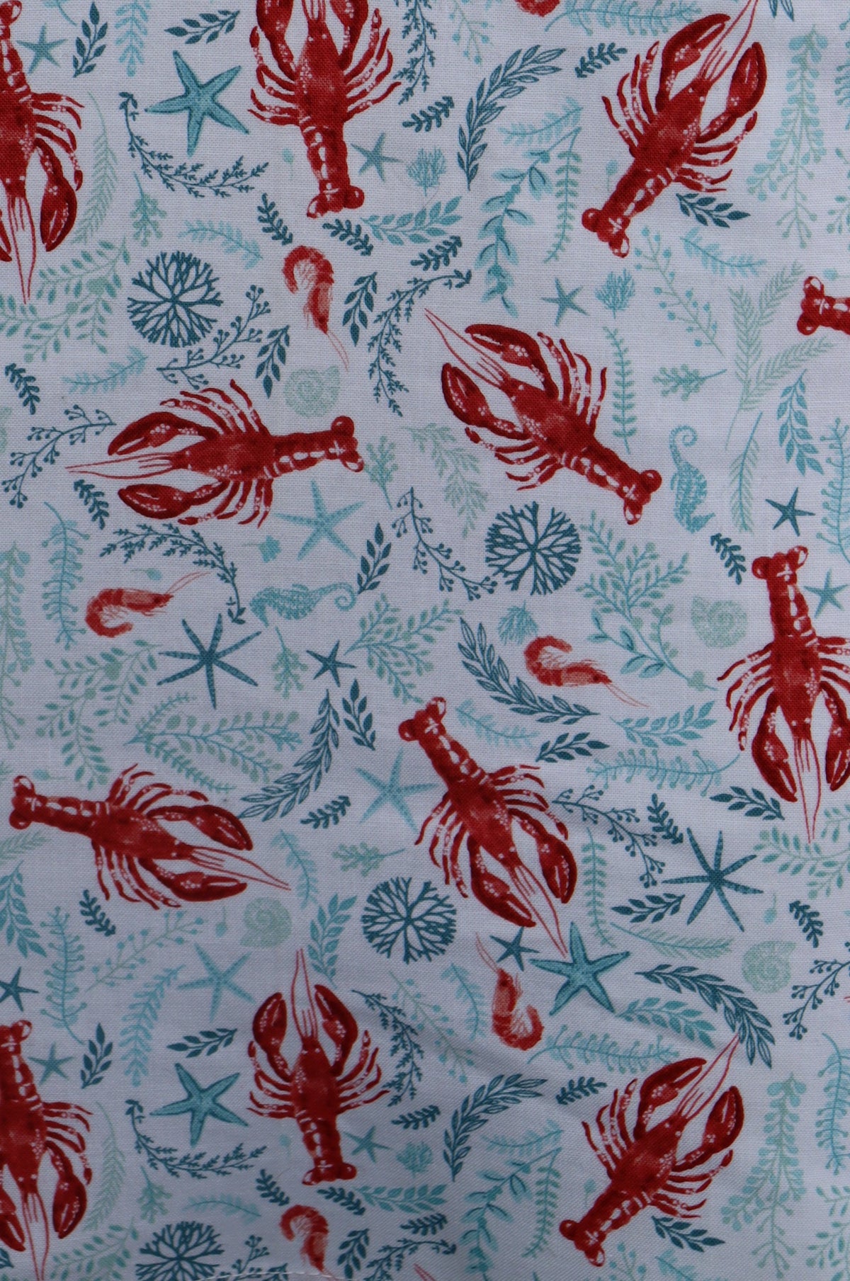 Close up of light blue and red lobster on white background print